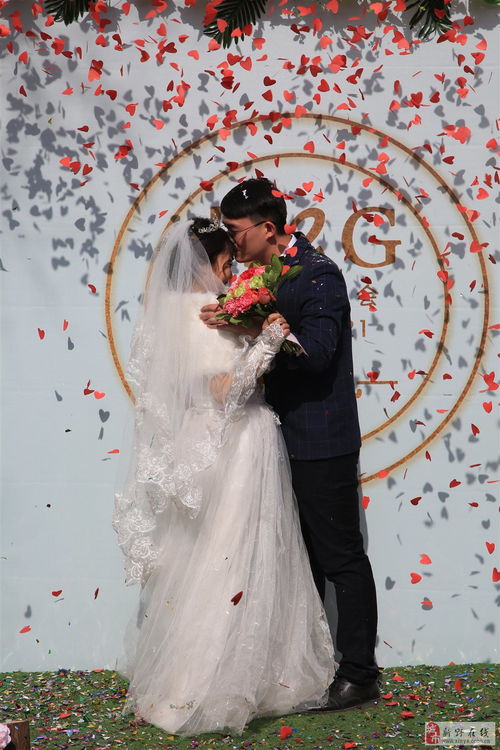 新野愛(ài)度婚慶 性價(jià)比之選，讓幸福起航